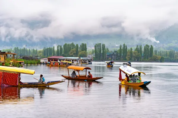 A serene view of Dal Lake in Kashmir.