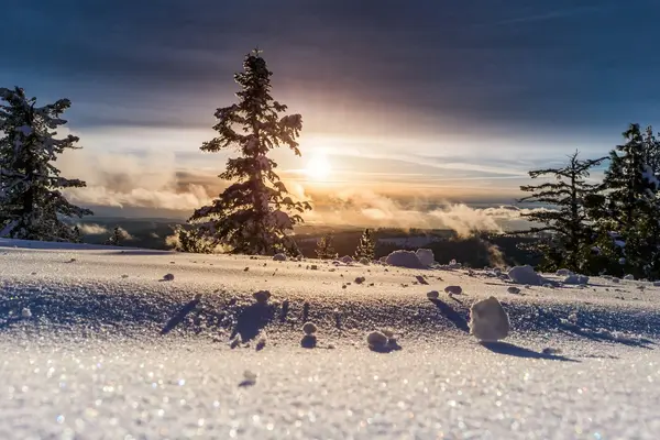 A snow-covered landscape in Gulmarg, Kashmir.